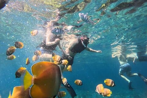 Blue Lagoon Tanjung Jepun Pranzo di snorkeling e trasferimento privato