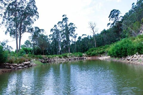 Walking to The Holly Waters