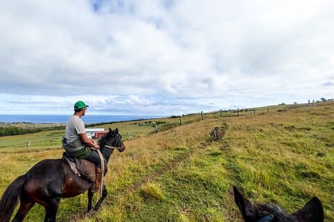 Tour di Terevaka fino al punto più alto di Rapa Nui