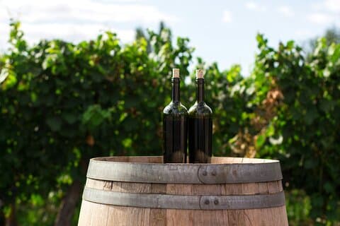 Tour privato nell'area vinicola con trasferimento da Vienna a Praga