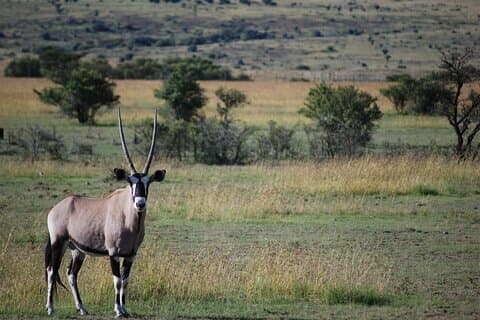 Gita giornaliera privata al Parco Nazionale di Arusha