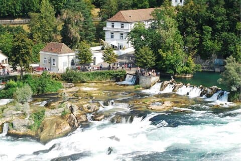 Zurique: excursão de carro particular às Cataratas do Reno, Titisee e Floresta Negra