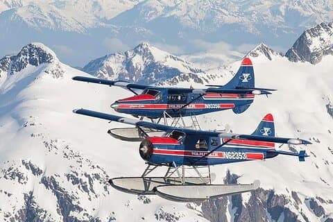 Peak Season Bear Viewing By Seaplane