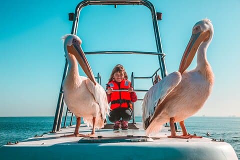 Walvis BayウォーターフロントからPelican PointまでのMola Mola Marine Dolphin Cruise