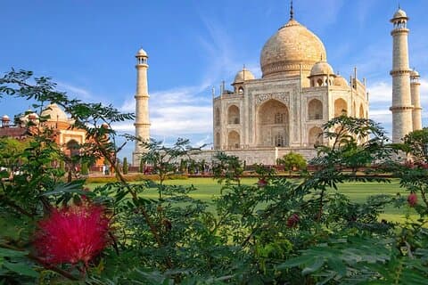 Taj Mahal Private Tour (Viator Award Winner)