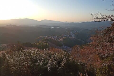 Private Guided Half-Day Walking Tour in Yoshinoyama