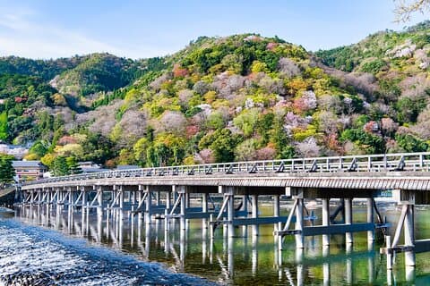 One-Day Tour of Kyoto's Highlights fra Osaka/Kyoto