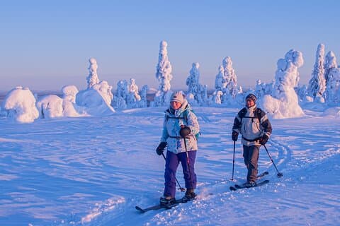 Ciaspolata privata o avventura sugli sci in Lapponia da Rovaniemi
