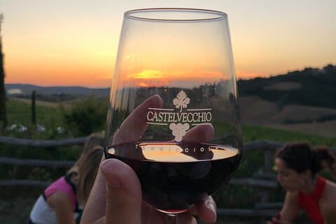 Private Tour Pisa, countryside with wine tasting