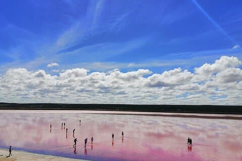 4 Days Tour to Pink Lake Kalbarri, Margaret River and South West