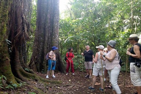 Bali Jungle Escapade: Rainforest and Waterfall Trekking
