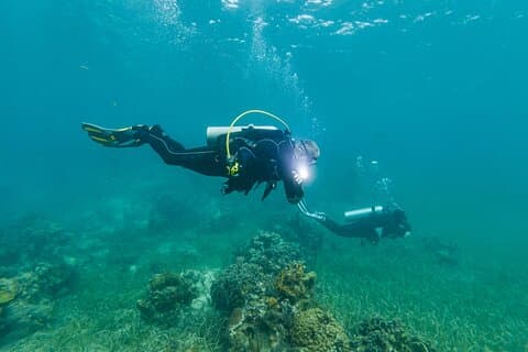 Tauchen im West End von Roatan mit privatem Transfer