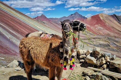2-dagars Machu Picchu och Rainbow Mountain ATV-äventyr