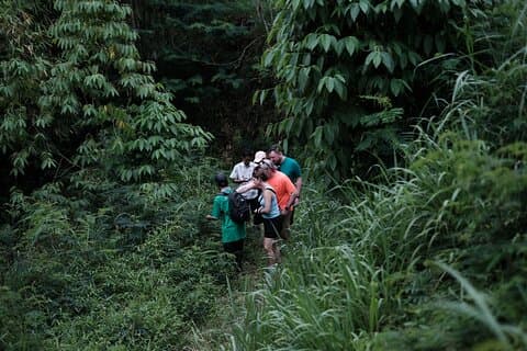 Mount Merapi: een serene, zachte tocht door botanische dorpen