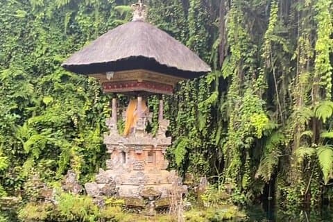 Ubud Tour - Ubud Highlight Culture, Tradition, Nature