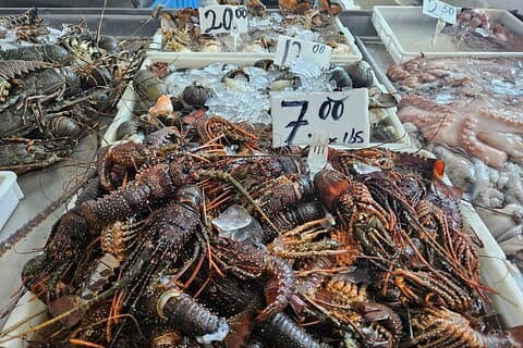 Tour gastronômico premium no Panamá Casco Viejo