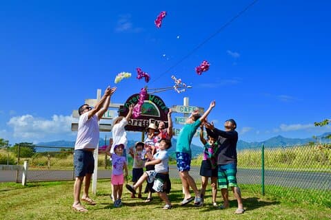 Privat tilpasset Oahu Heldagstur