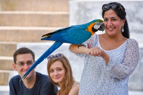 Kuala Lumpur Bird Park & Countryside Escape Tour
