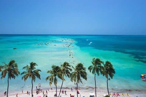 Private Transfer from MCZ to any point within Maceió city limits