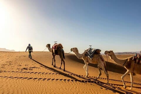 Two Day Tour with Overnight Desert Camp Experience from Agadir