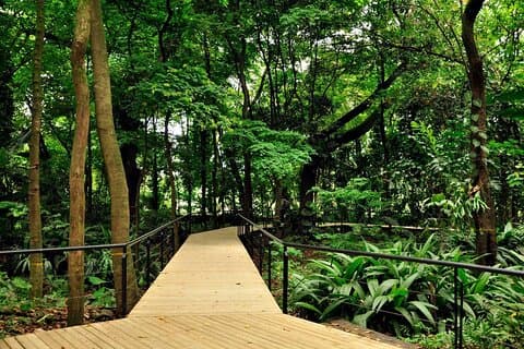 Botanische tuin en Arvi Park Privé- of gedeelde tour