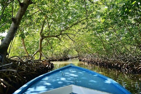 Half Day Private Roatan Cultural East Tour