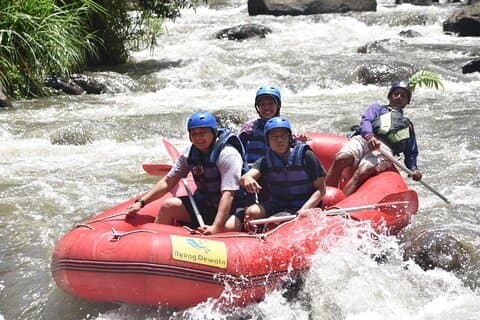 Bali Ayung River Rafting och Denpasar City Private Tour