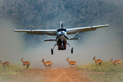 3 Days Maasai Mara Sarova Luxury Safari With a Jeep