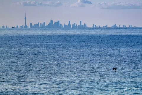 Privater One-Way Transfer Niagara-on-the-Lake zum Flughafen Toronto