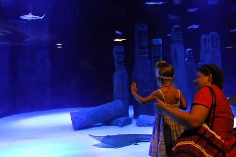 Aquarium tunnel d'Antalya avec transferts Face2Face inclus