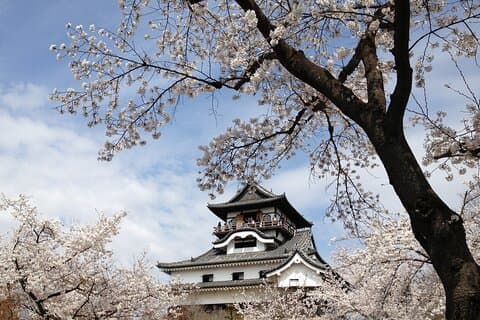 1 giorno Seki Mino e il castello di Inuyama del tesoro nazionale da Nagoya