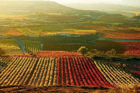 Rioja vinícola com visita a vinícola & Vitoria-Gasteiz