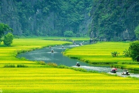 Excursion d'une journée complète de Hanoï à Tam Coc