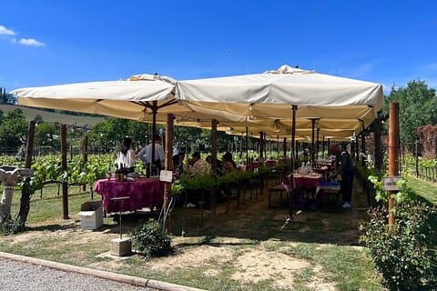 Sienne et San Gimignano de Rome: Visite privée du vin en Toscane