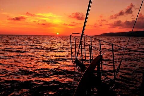 Queen Bee Sunset Cruise with Swim Stops and Dinner