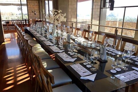 Mendoza Wine Tour with Lunch