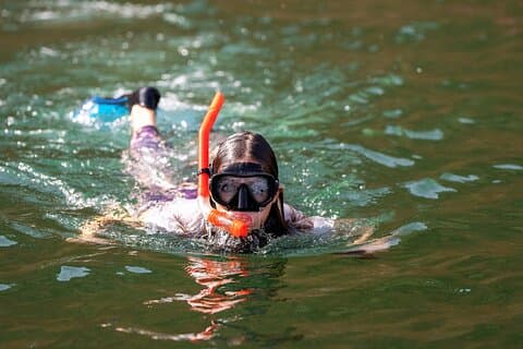 Sea Wonders delfinskådning och snorkling i Muscat