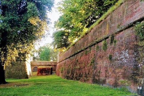 Escursione privata di mezza giornata a Lucca dal porto di Livorno