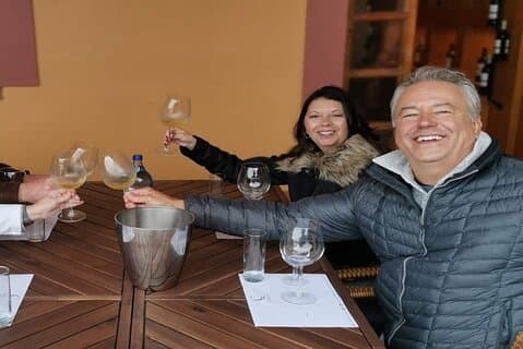 Private Arrabida Wine Tasting Tour with Arrabida Palmela & Tiles