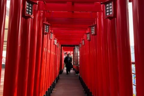 ZodiacShrines and Naha Backstreets CyclingTour【Free cancellation】