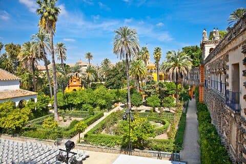 Sevilla: Guidet tur til Alcazar + katedralen og Giralda