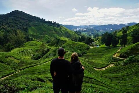 Avventura di un giorno intero Cameron Highlands da Kuala Lumpur