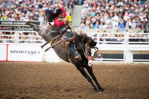 Calgary Stampede Pacchetto da due giorni