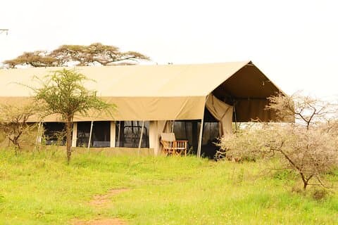 8 dagars körsafari i Kenya och Tanzania