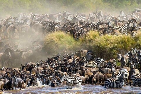 Safari de 12 días en Kenia y Tanzania con primera noche de cortesía
