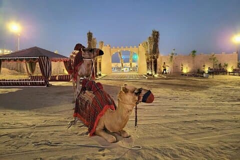 Expérience luxueuse de safari dans le désert Platinum à Dubaï