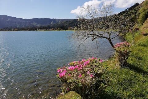 São Miguel, guided tour to the furnas with lunch included
