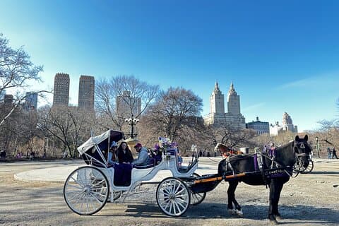 Indimenticabili tour di lusso a cavallo e in carrozza a Central Park