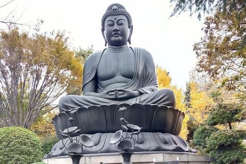 プライベートウォーキングツアー、東京大仏、植物園など