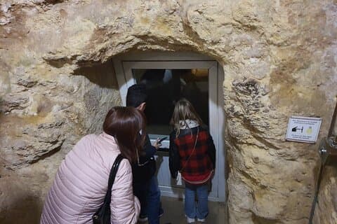 Necrópole Etrusca e Museu em Tarquinia Excursão Privada para Crianças e Famílias